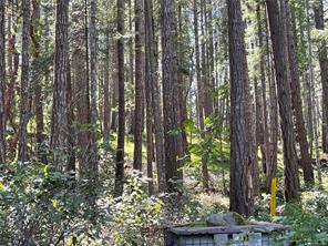 $299,900 - Lot 2 Driftwood Dr<br>British Columbia, V0R 1X0