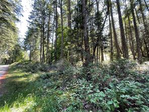 $299,900 - Lot 2 Driftwood Dr<br>British Columbia, V0R 1X0