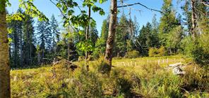 $572,500 - Lot 1 Walker Rd<br>British Columbia, V0P 1N0