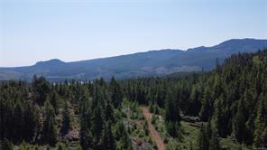 $5,510,000 - SL2 Gold River Hwy<br>British Columbia, V9W 5C5