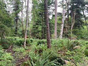 $445,000 - Lot A Wilfred Rd<br>British Columbia, V0R 1C0