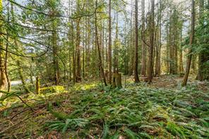 $335,000 - LT29 Prospect Dr<br>British Columbia, V0R 2E0