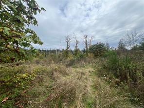 $699,900 - LOT 4 Doole Rd<br>British Columbia, V9G 1G6