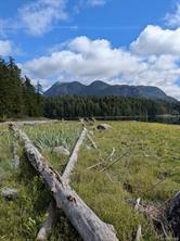 $150,000 - SL E Chatham Channel Rd<br>British Columbia, V0P 1L0