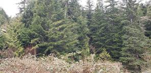 $73,500 - Lot 16 Haggard Cove<br>Port Alberni, British Columbia, V0R 2B0