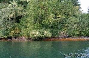Port Alberni Real Estate