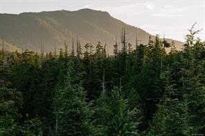 $1,450,000 - LOT 11 Hawkes Rd<br>Ucluelet, British Columbia, V0R 3A0