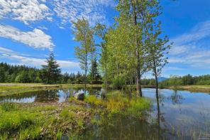 Port Alberni Real Estate