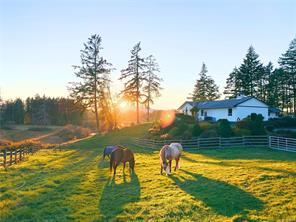$3,868,000 - 2551 Braun Rd<br>British Columbia, V9X 1W5