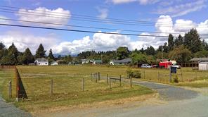 Port Alberni Real Estate