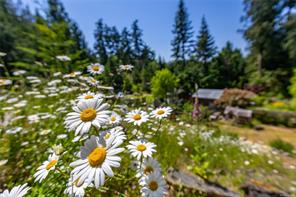 properties-photo-smale