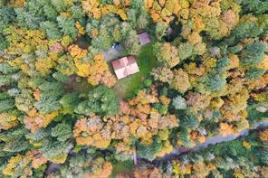 Port Alberni Real Estate