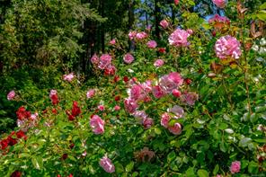 properties-photo-smale