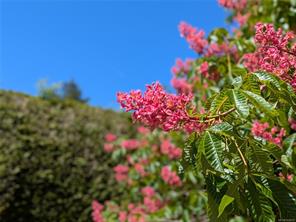 properties-photo-smale