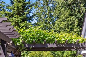 Property Photo 98