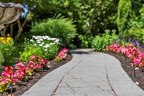 Property Photo 99