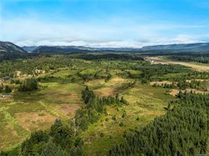 Port Alberni Real Estate