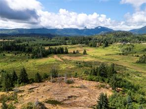 Port Alberni Real Estate