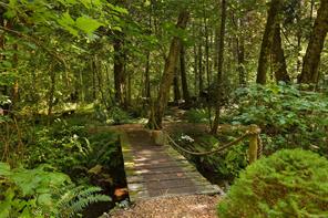 properties-photo-smale