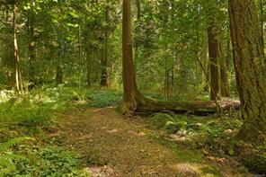 properties-photo-smale