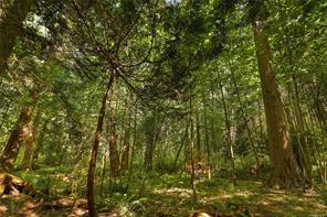 properties-photo-smale