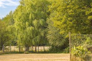 properties-photo-smale