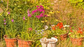 properties-photo-smale