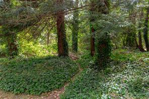 Property Photo 74