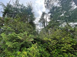 $385,000 - LOT 40 CEDAR GROVE Pl<br>Ucluelet, British Columbia, V0R 3A0