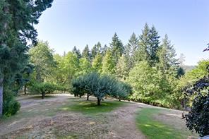 Property Photo 50