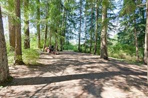 Property Photo 78