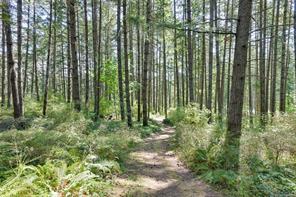 Property Photo 85