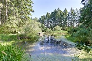 Property Photo 86
