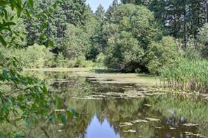 Property Photo 87