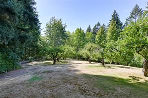 Property Photo 89