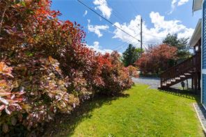 Property Photo 50