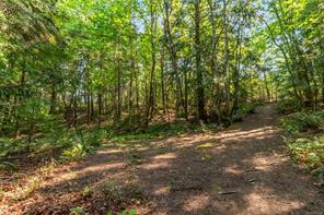 Property Photo 50