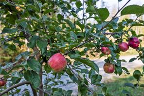 Property Photo 34