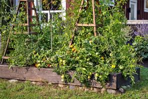 Property Photo 36