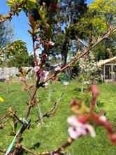 properties-photo-smale