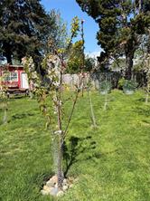 properties-photo-smale