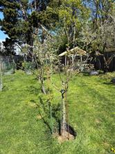 properties-photo-smale