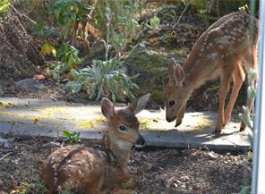 properties-photo-smale