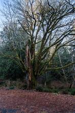 properties-photo-smale