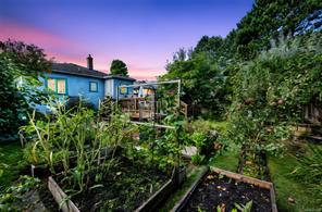 Property Photo 50