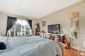 Property Photo 62