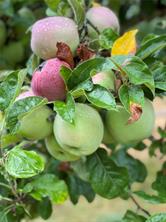 Property Photo 48