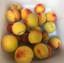 Property Photo 50