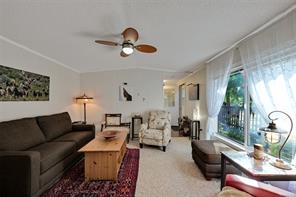 Property Photo 59