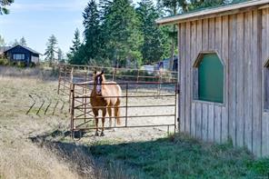 Property Photo 81